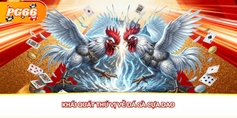 Khái quát thú vị về đá gà cựa dao