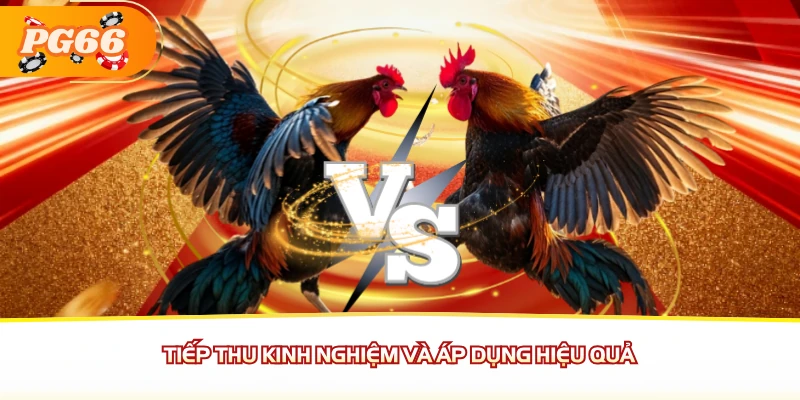 Tiếp thu kinh nghiệm và áp dụng hiệu quả